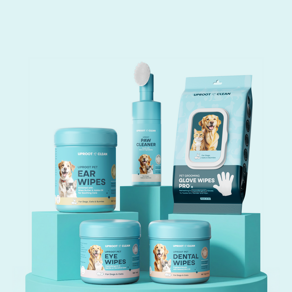 Pet Care Products