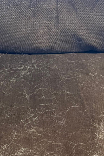 A brown couch cushion is about 60% covered with white animal hair.