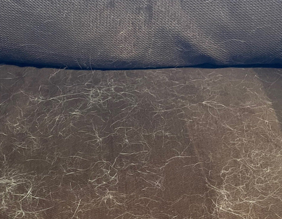A brown couch cushion is about 60% covered with white animal hair.